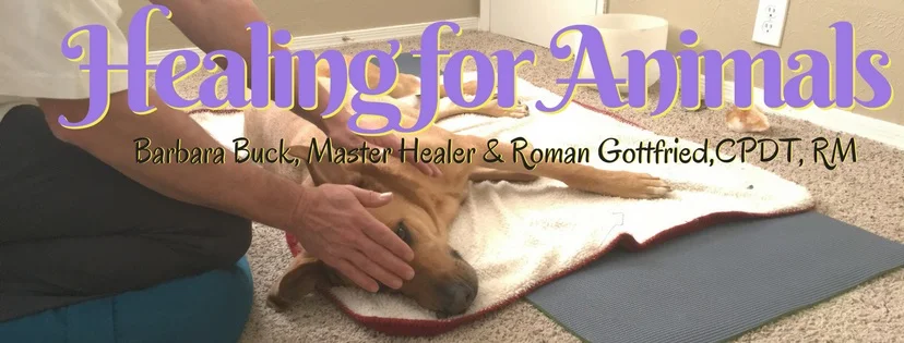 Healing For Animals I &amp; II Live Online Workshop (including Reiki I &amp; 2 Certification)