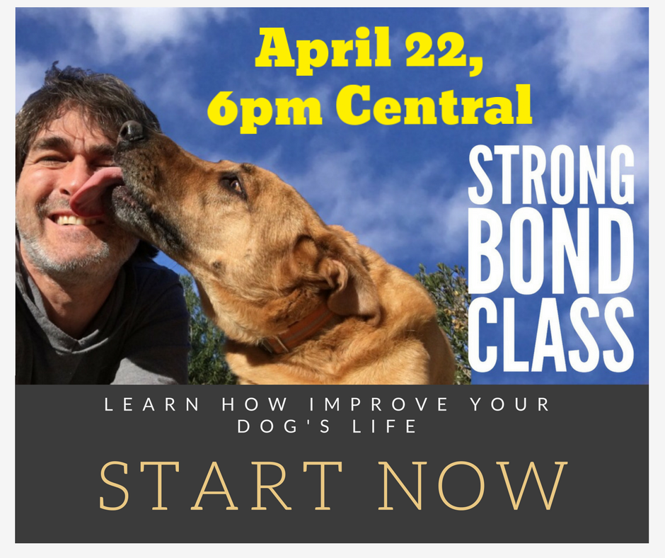 Strong Bond - Holistic Parenting ONLINE Workshop 