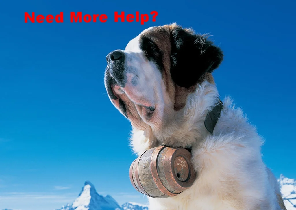 St-Bernard-dog.jpg