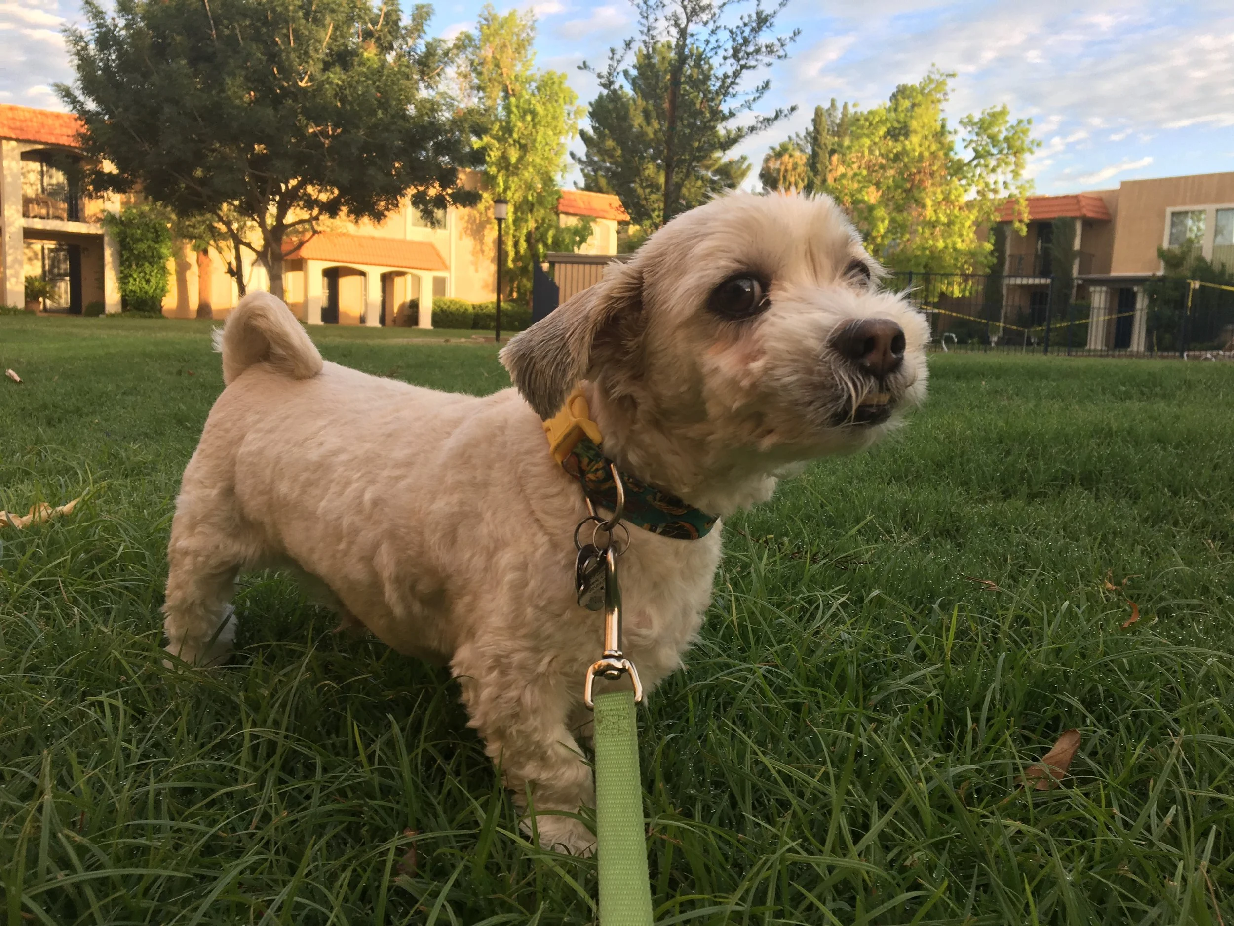 His holistic approach is kind and incredibly effective.