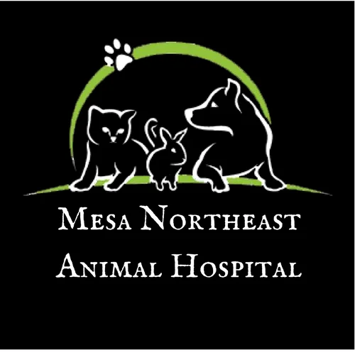 Mesa NortheastAnimal Hospital2.jpg
