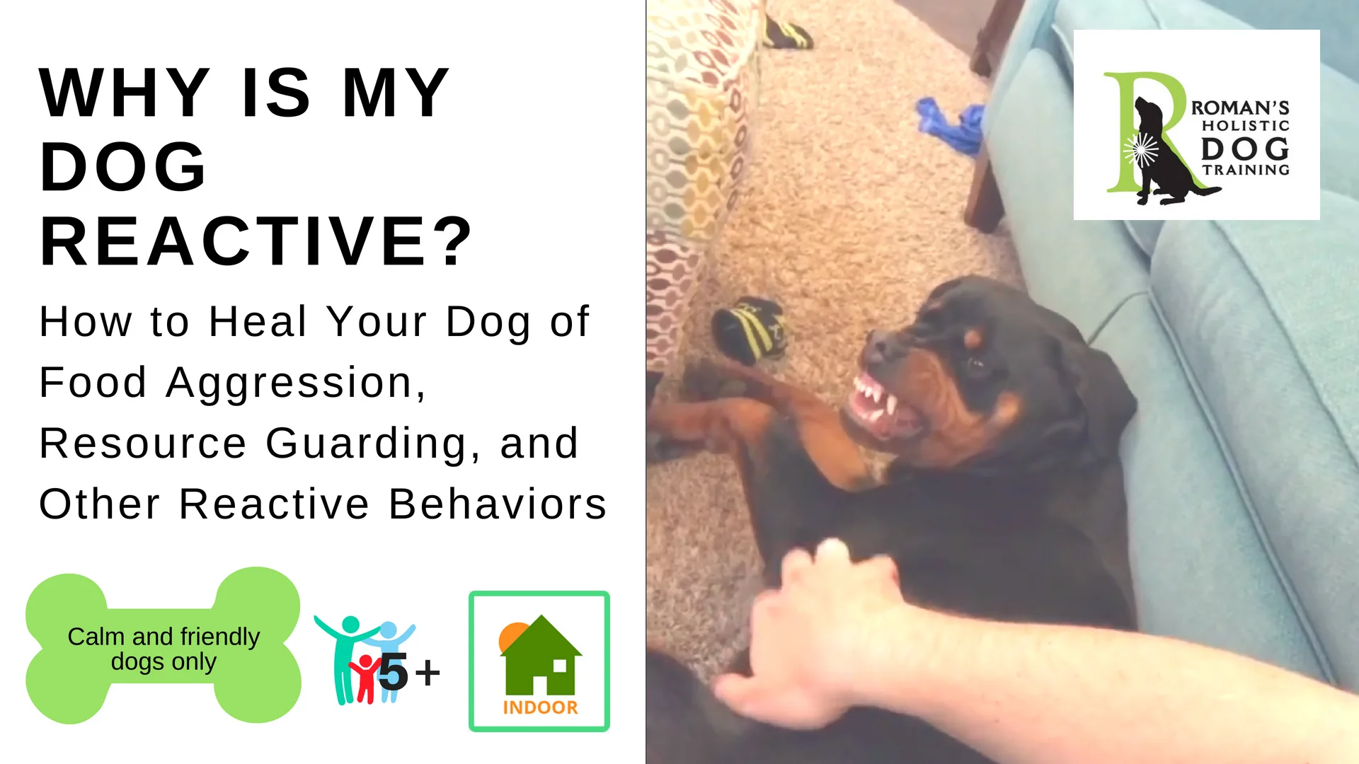 How to Heal Your Dog's Aggression Workshop. Bark Avenue  Mesa AZ July 14 1-3pm 