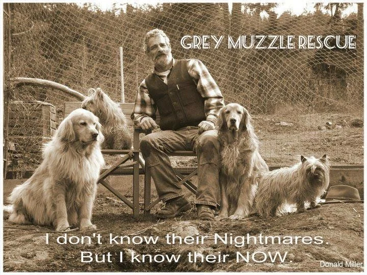 Rescue Testimonial: Thayne Hamilton here from Grey Muzzle Rescue.