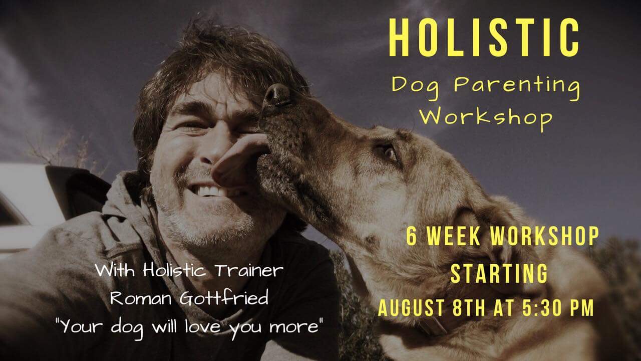 Six Week Holistic Dog Parenting Workshop @ Bark Avenue Pet supply 