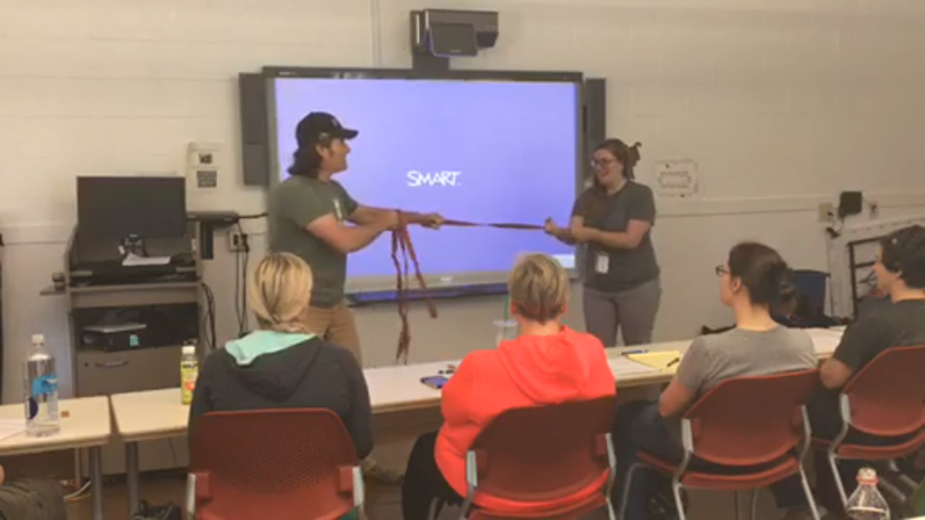 Roman and an assistant demonstrate dog behavior with a leash and how to handle it properly.