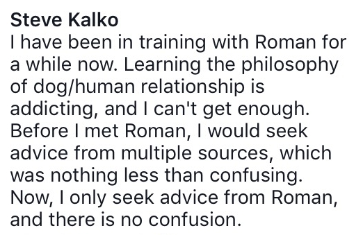 Steve Kalco Review 5.jpeg