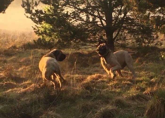 One online consultation made a world of difference to us.