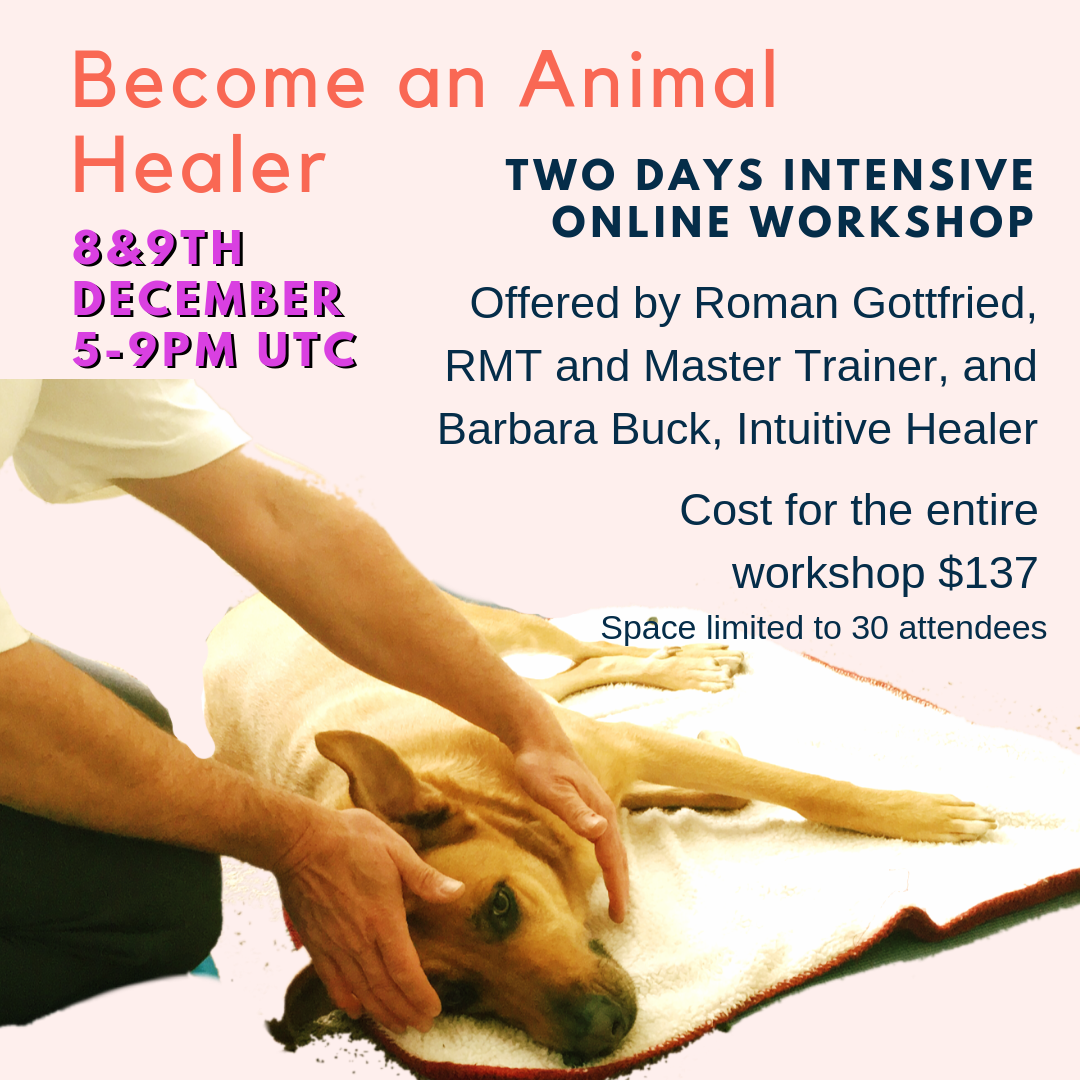 Healing For Animals I & II Live Online Workshop (including Reiki I & 2  Certification) — Roman's Holistic Dog Training