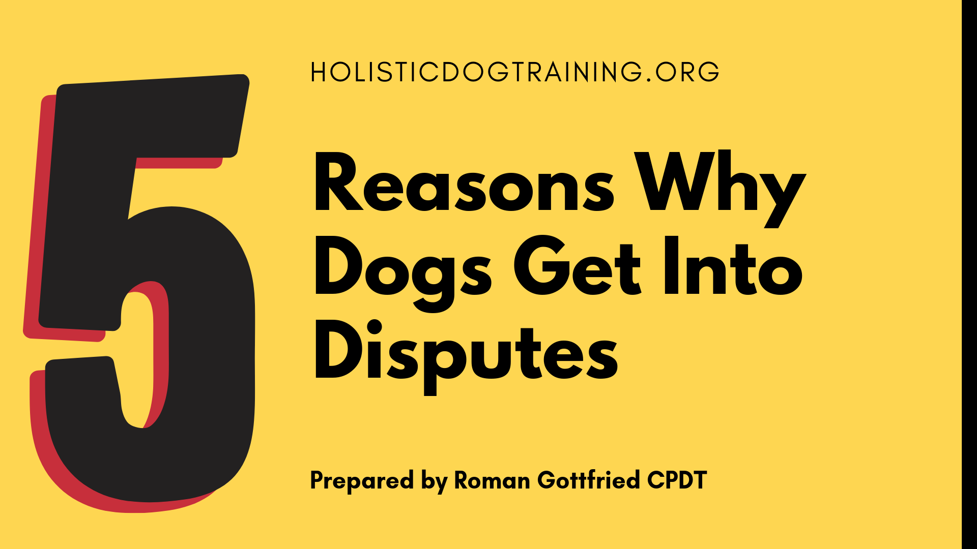 5 Reasons Dogs Get Into Disputes