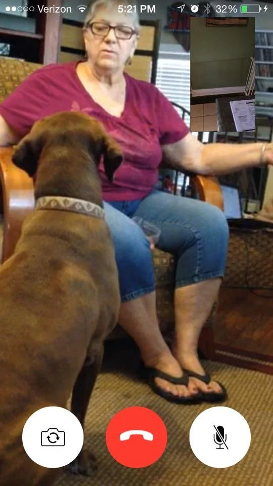 With holistic approach in online training, you become the educated trainer your dog is looking for.