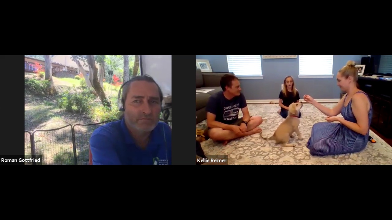 “Thank you for the training session! I love that our kids get to be involved in the training sessions. Kids seem to believe things more from other people, then from their parents. Your advice is great for not only us, but for the kids as well. I think the online sessions are great for our older dog who is uncomfortable with strange males and a timid puppy. It allows us to work with our dogs while they feel safe and confident in their own environment. We are very excited to see just how well we (the humans and dogs) do with you guidance.” Kellie Reimer - Michigan USA