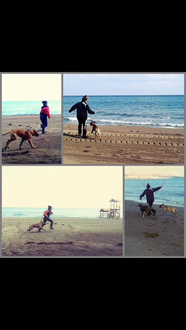 turned Sheila's life and mine 180deg