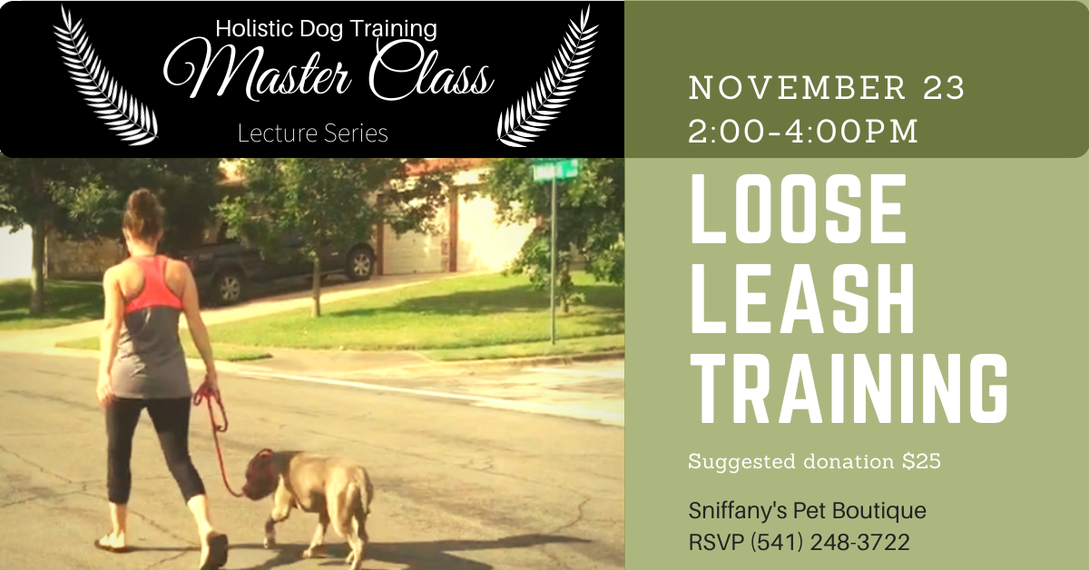 Force-Free Leash Training Part One of Two