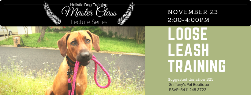 LoOse Leash Class fb cover.png