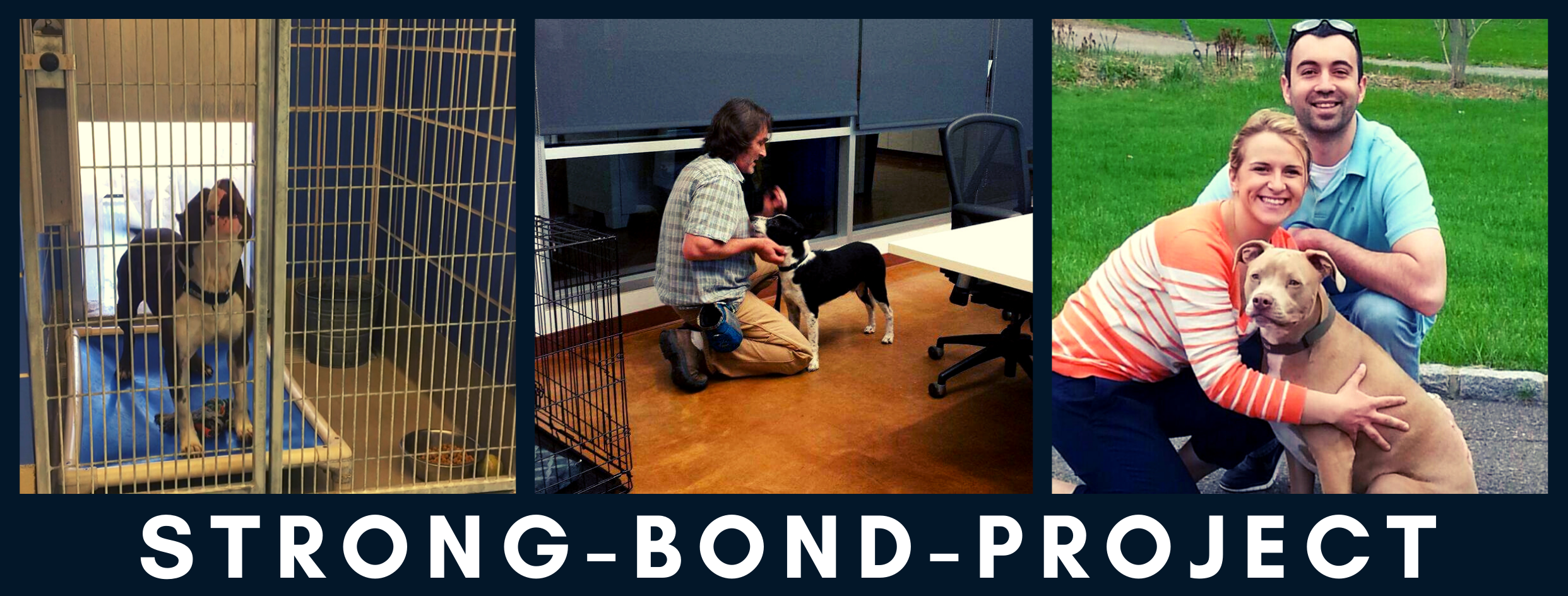 STRONGBOND BANNER.png