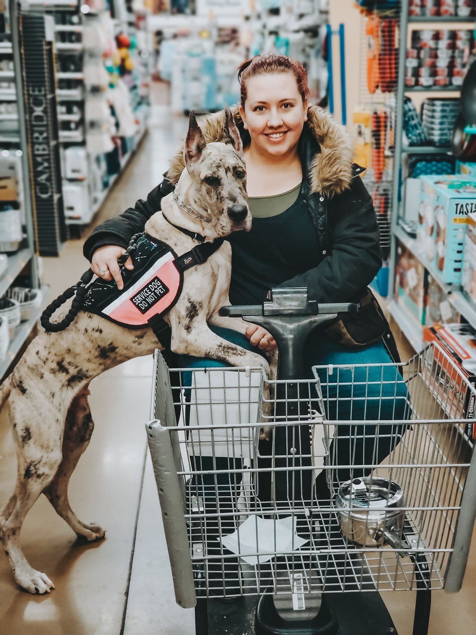 What Makes A Service Dog A Service Dog? — Roman's Holistic Dog Training What Makes A Service Dog A Service Dog? — Roman's Holistic Dog Training