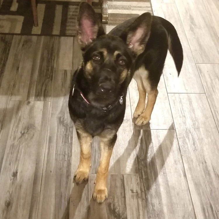 We Got Tools, We Use Them Daily