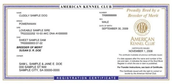 ckc registered breeders