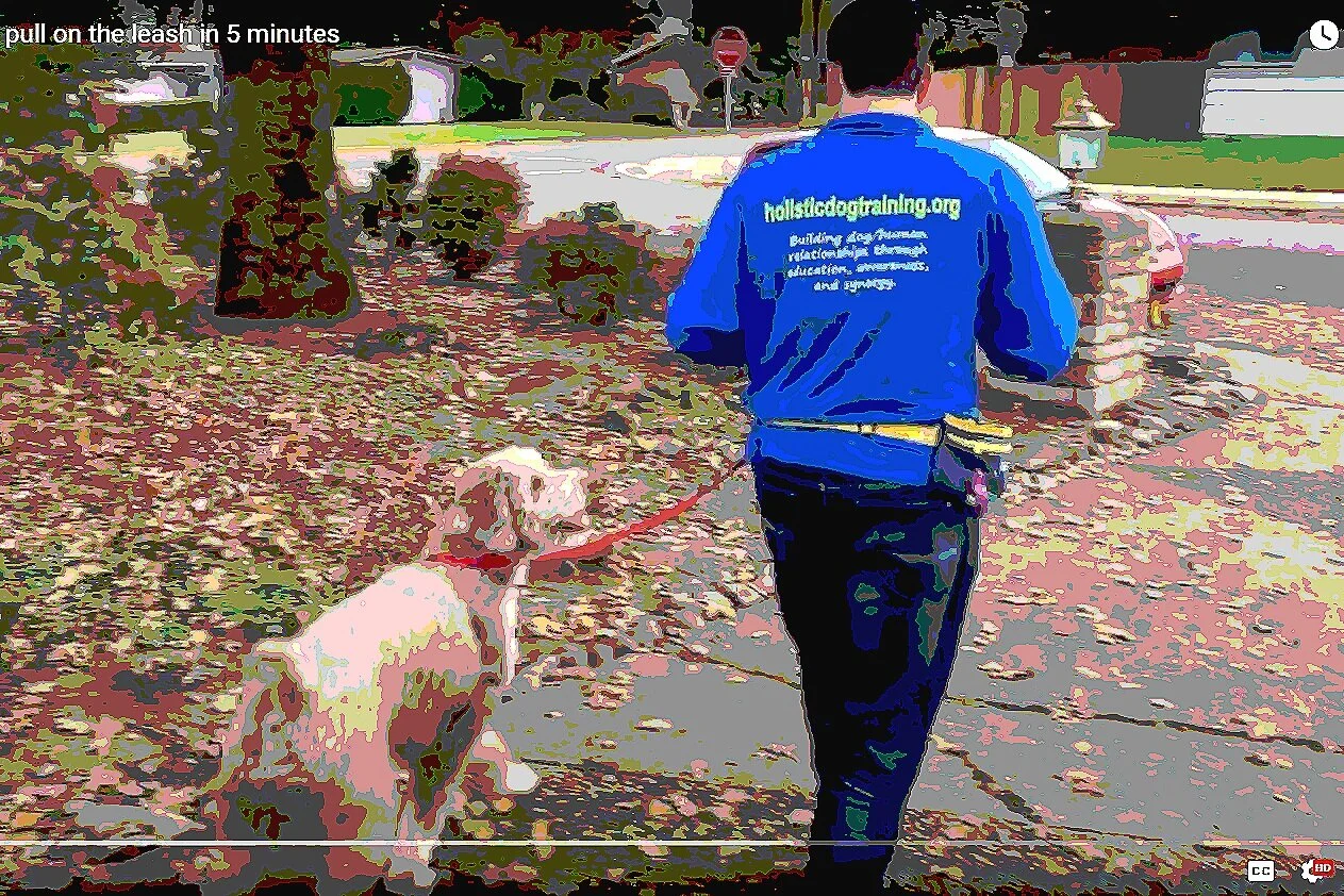 Holistic Way To Mastering The Walk