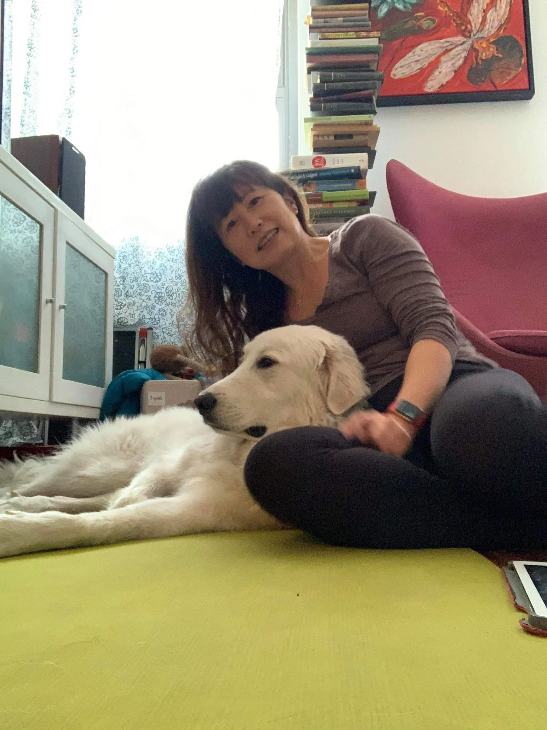 Severe Separation-Anxiety solved in two Online-Sessions