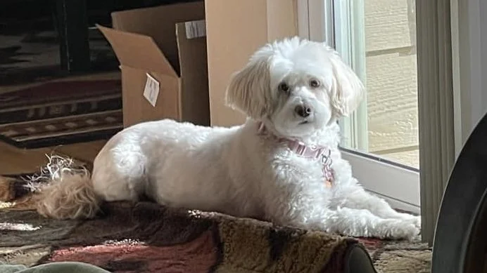 From Scared To Perfect