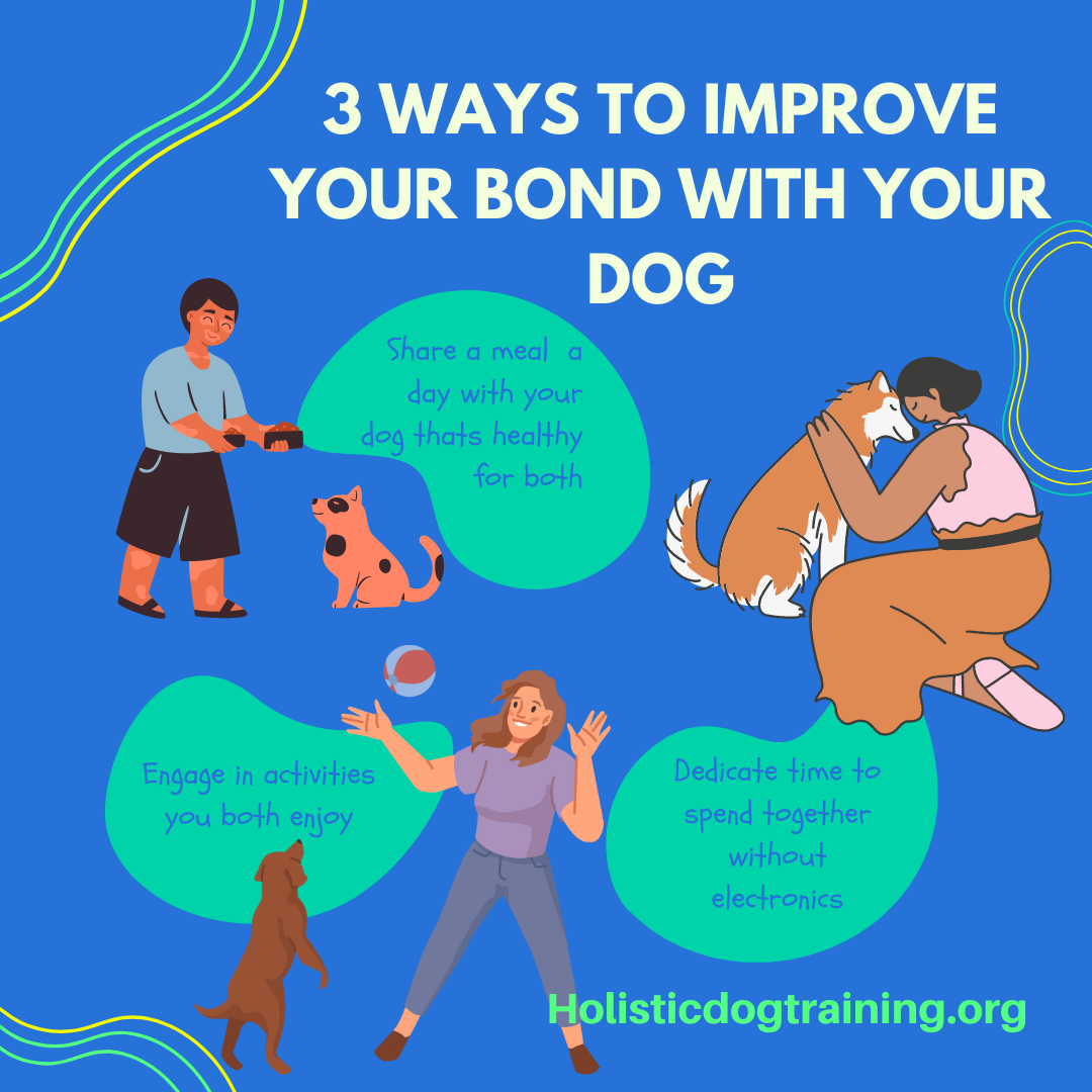 3 Ways to Improve Your Bond With Your Dog — Roman's Holistic Dog Training