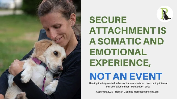 The Role of Attachment in Healing Aggression: — Roman's Holistic Dog ...