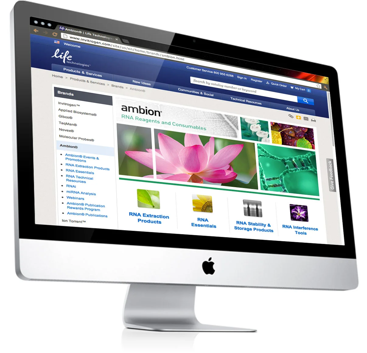 Website_samples_life_ambion.jpg