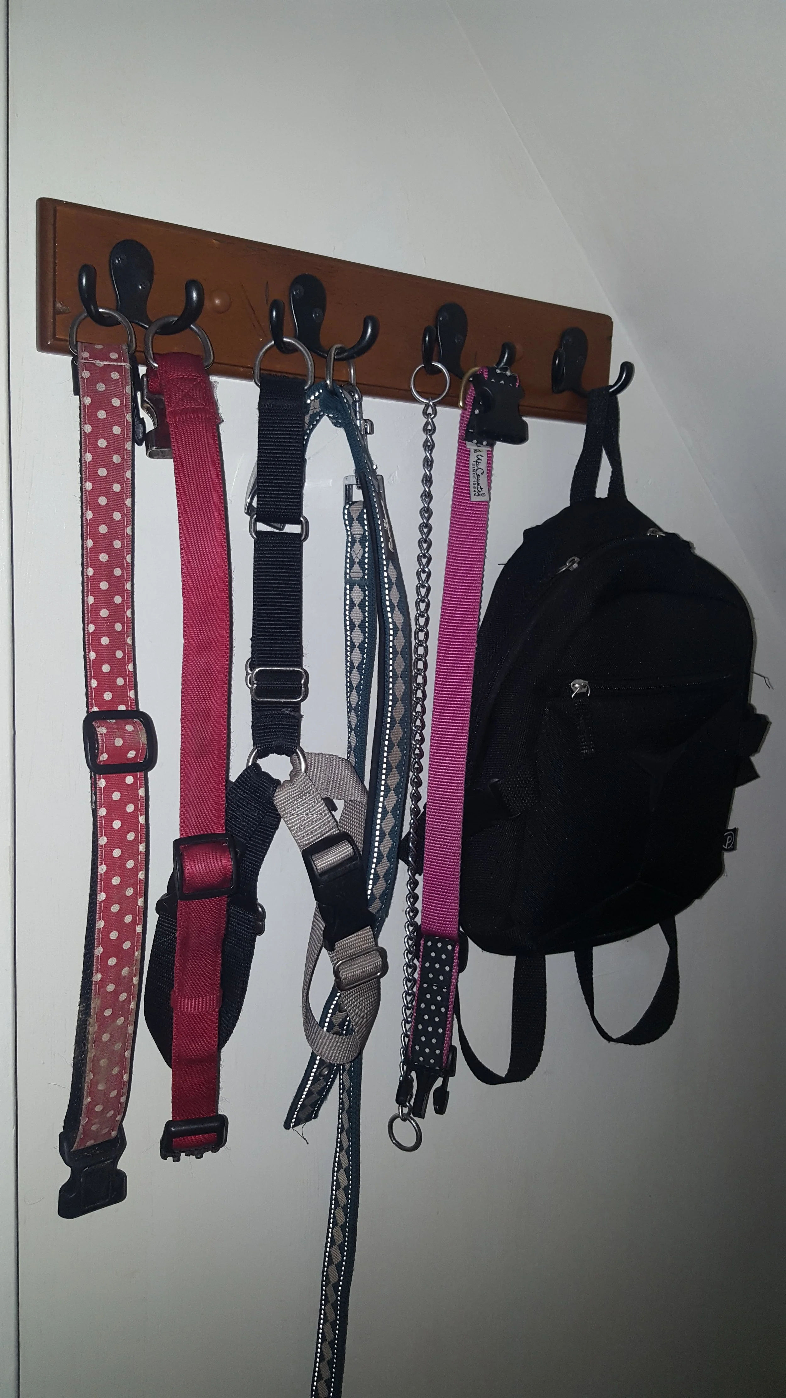 Our Dog walking stuff - this is mounted inside our basement stairwell