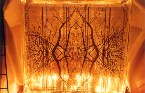 1, 2, Tree, 4, 5 (detail)