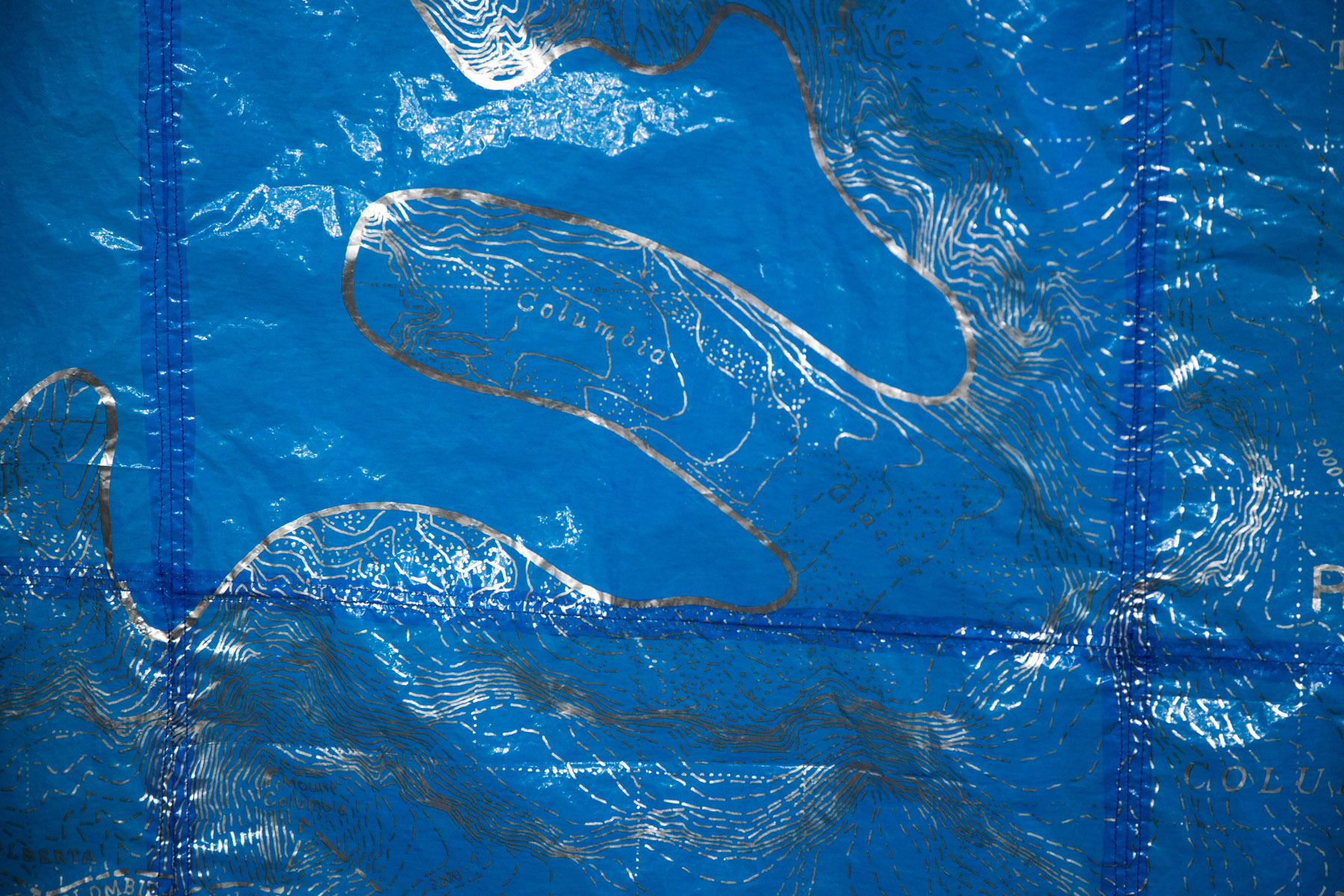 Columbia Icefield (detail)