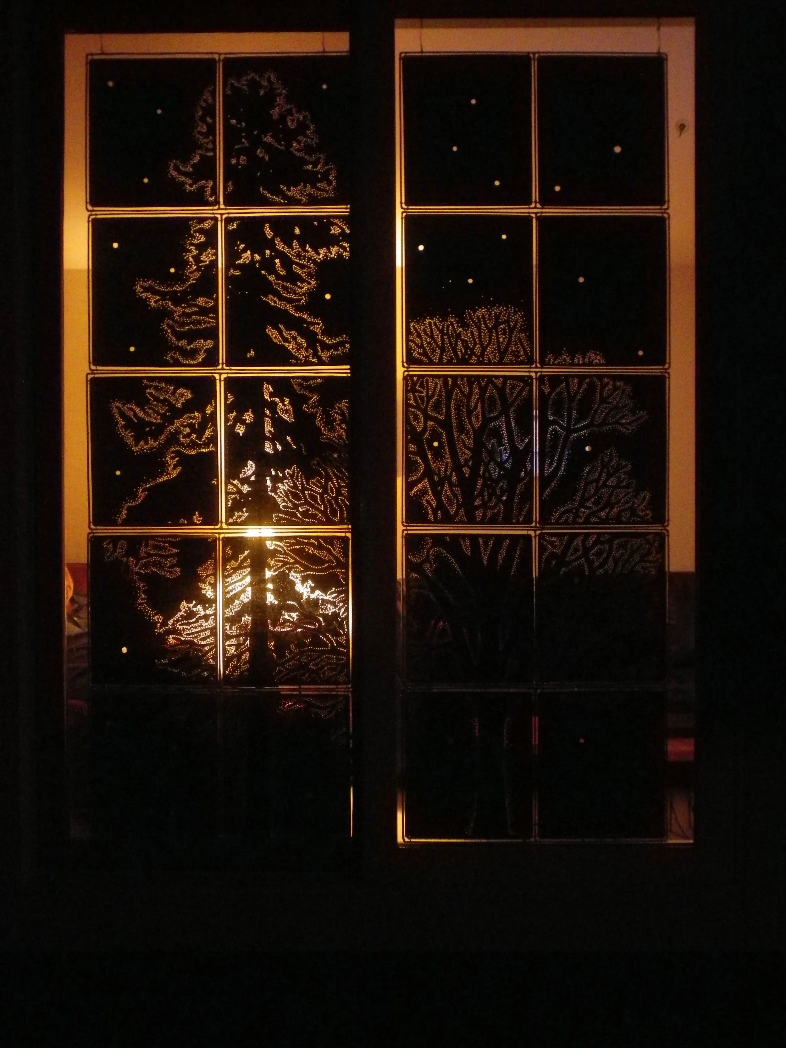 Forest (view form outside at night)