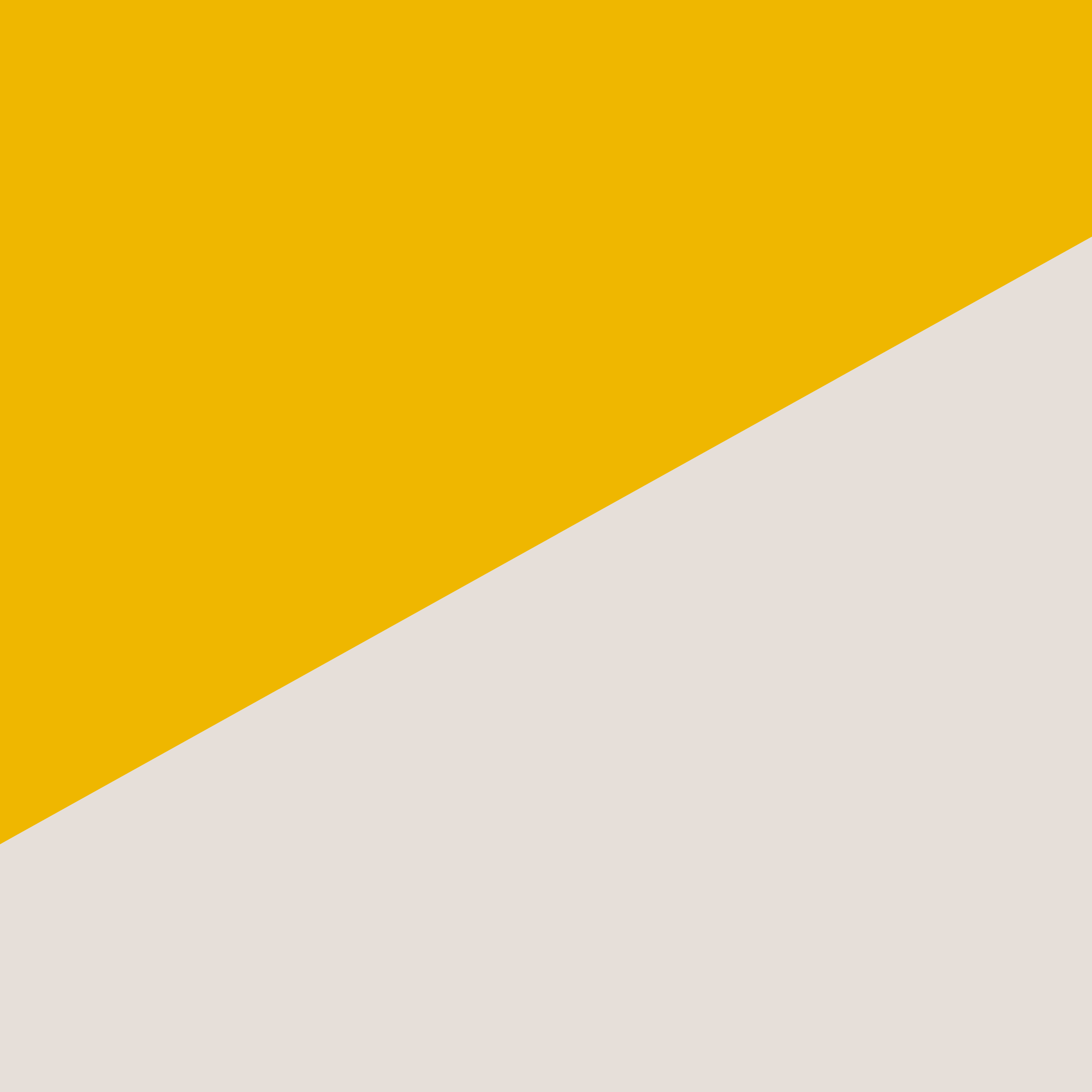 home-section-2-sustainable-organizational-culture-bkgrnd-y.png