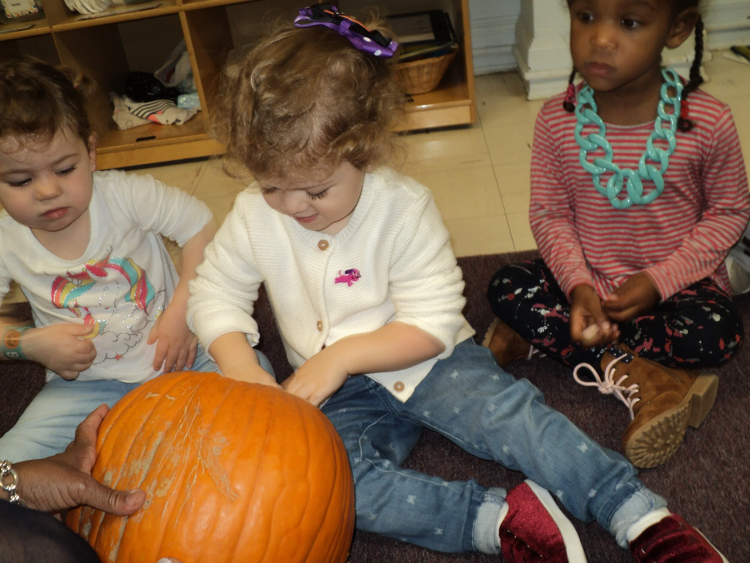 DSC08038.JPG