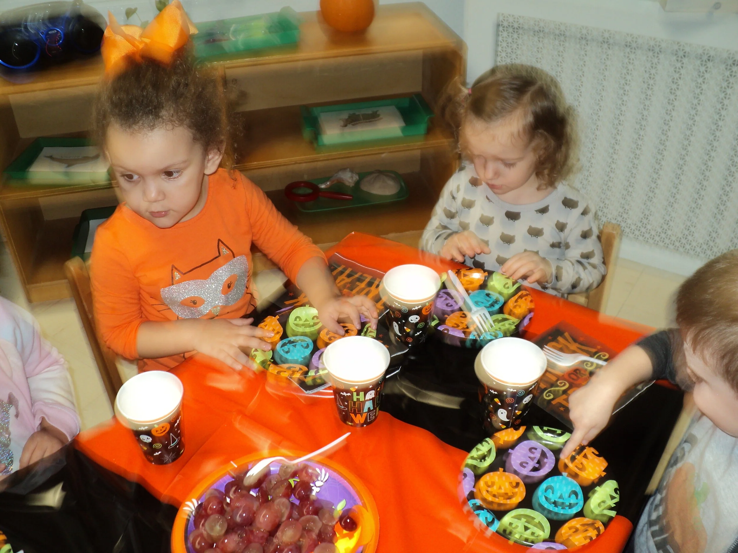 DSC08052.JPG