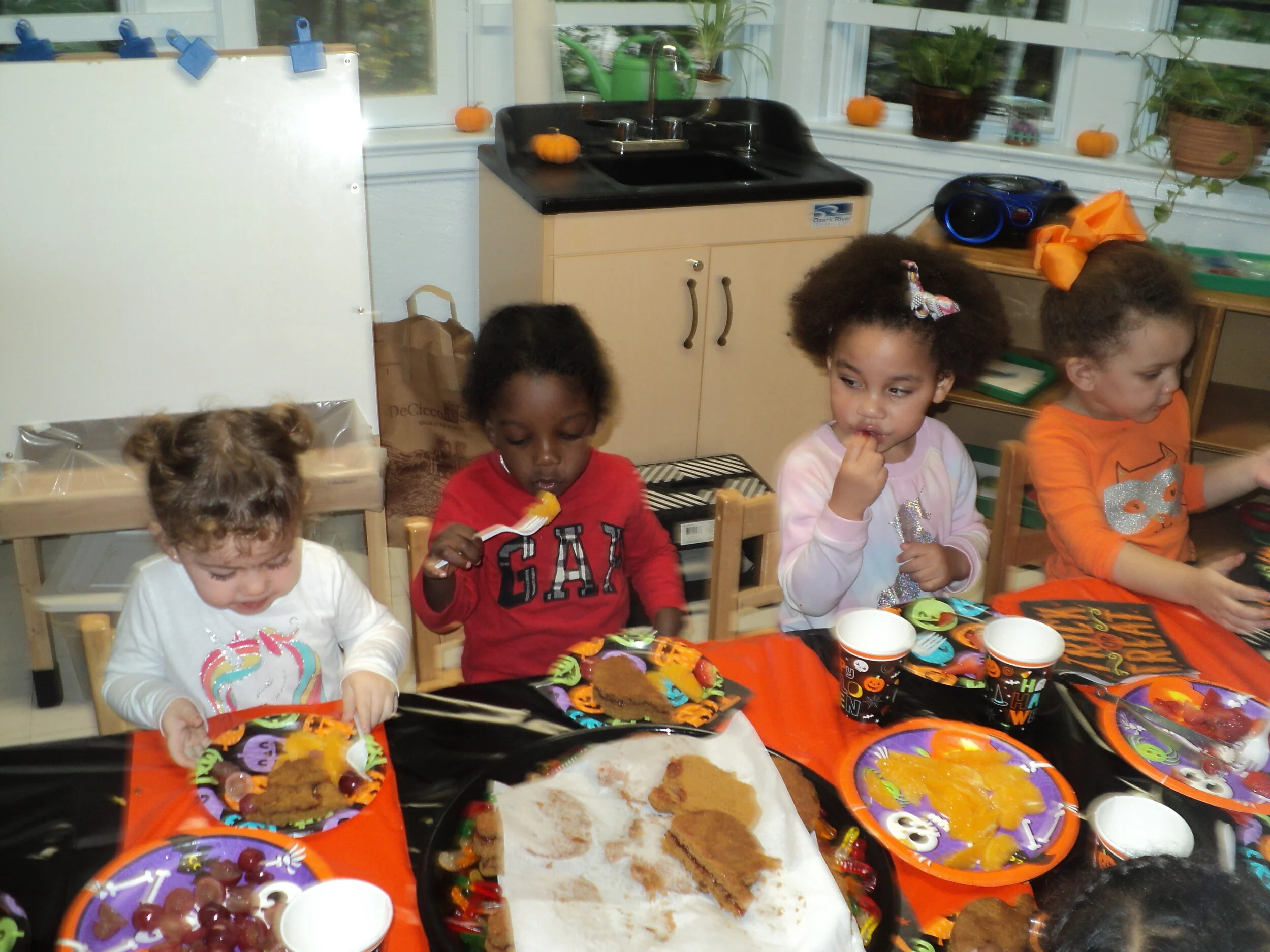 DSC08060.JPG