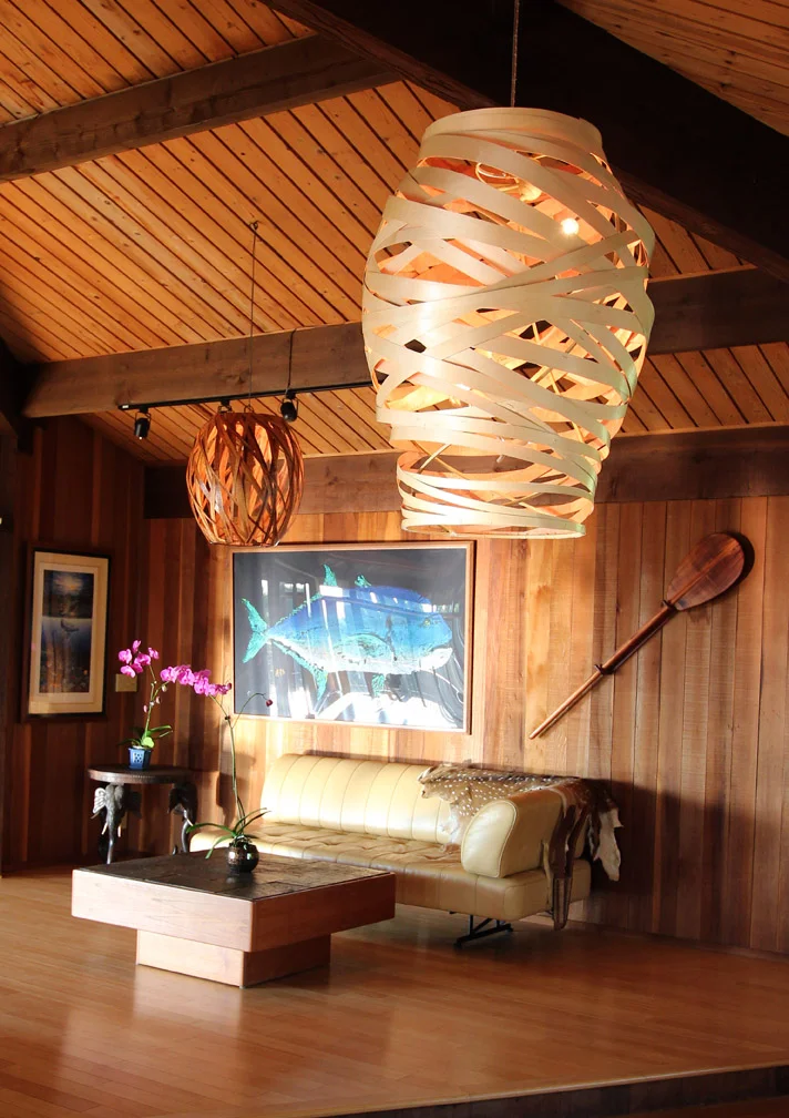Lighting installation, Maui