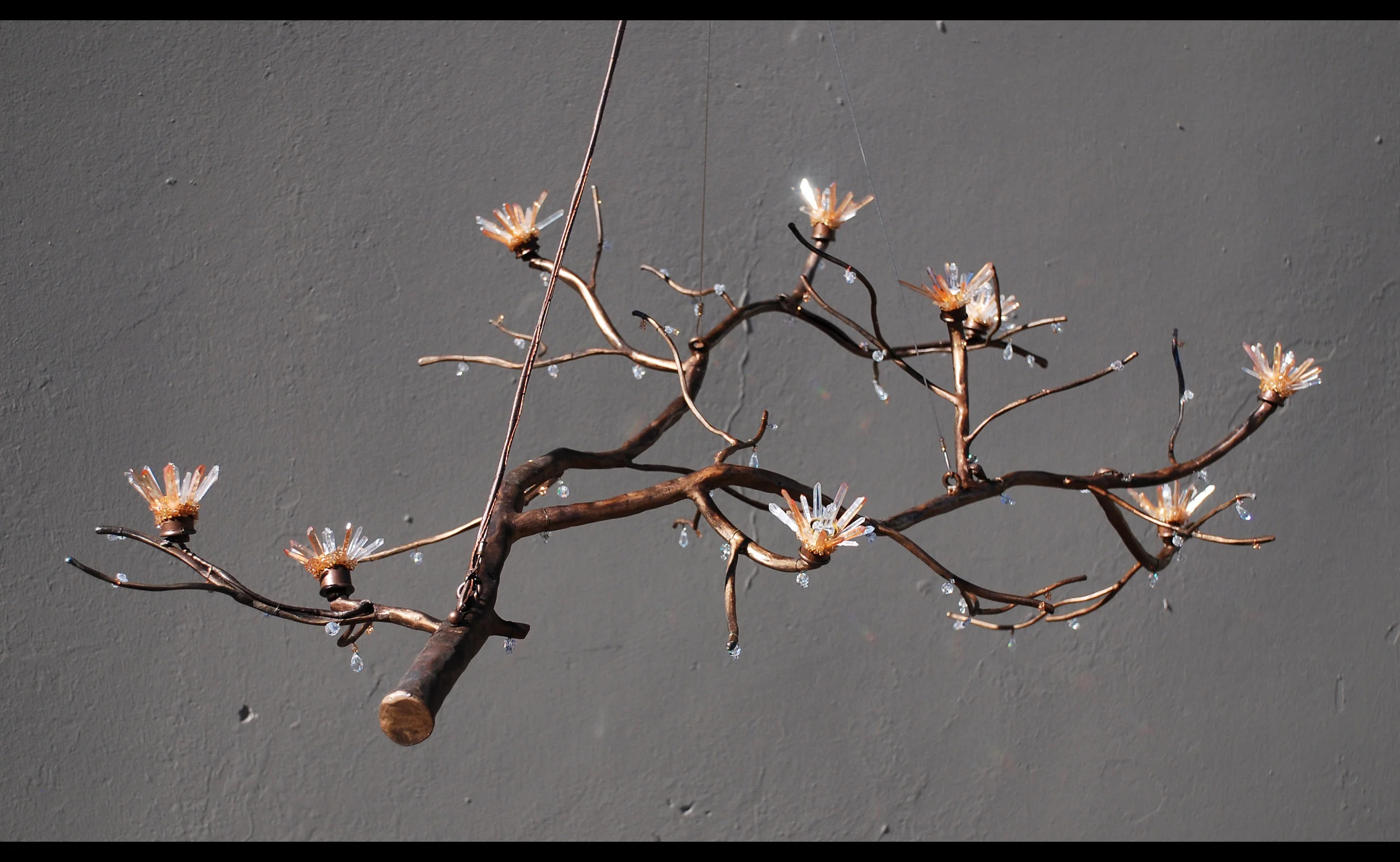 apricot_blossom_woodland_main.jpg