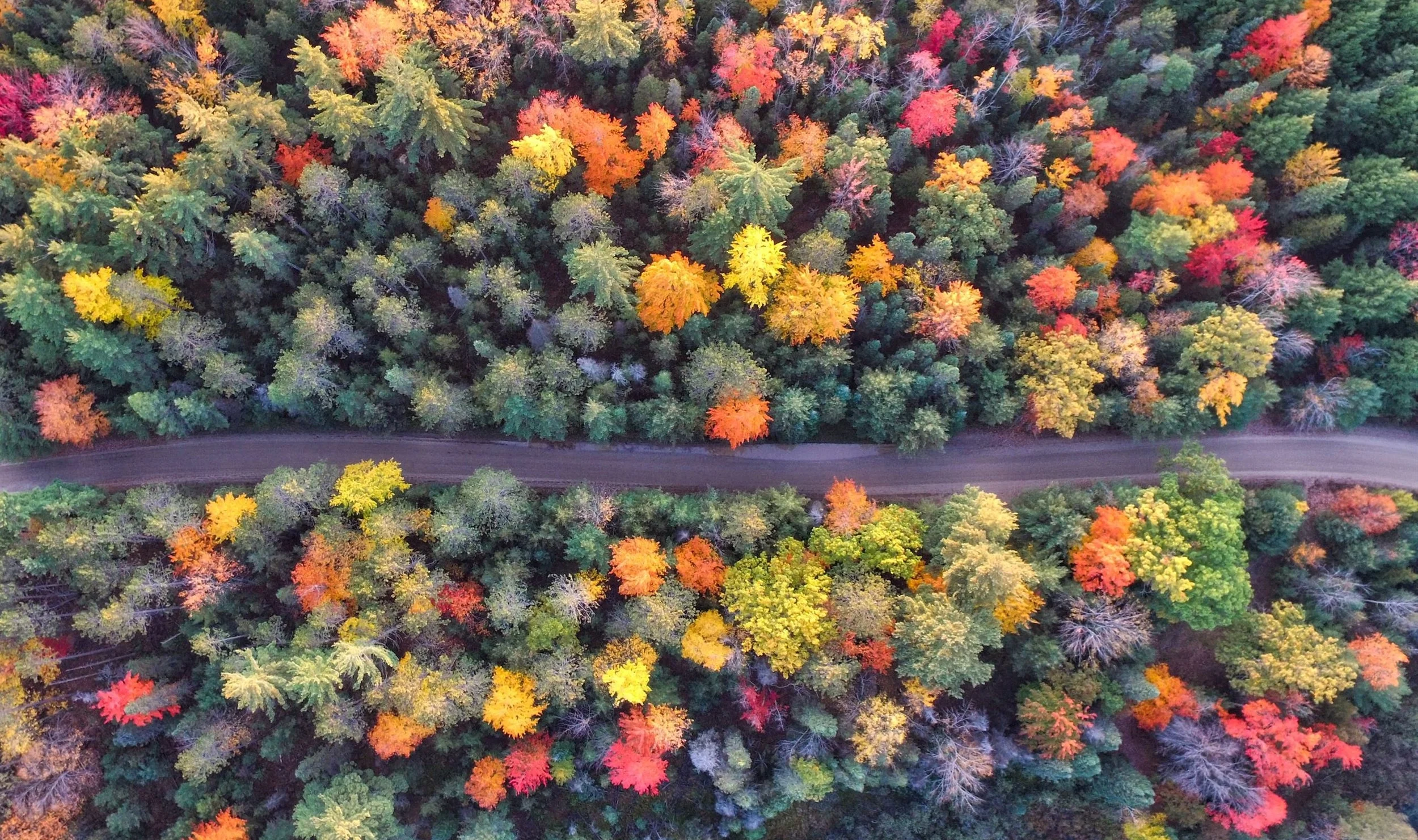 fall road aaron-burden-.jpg