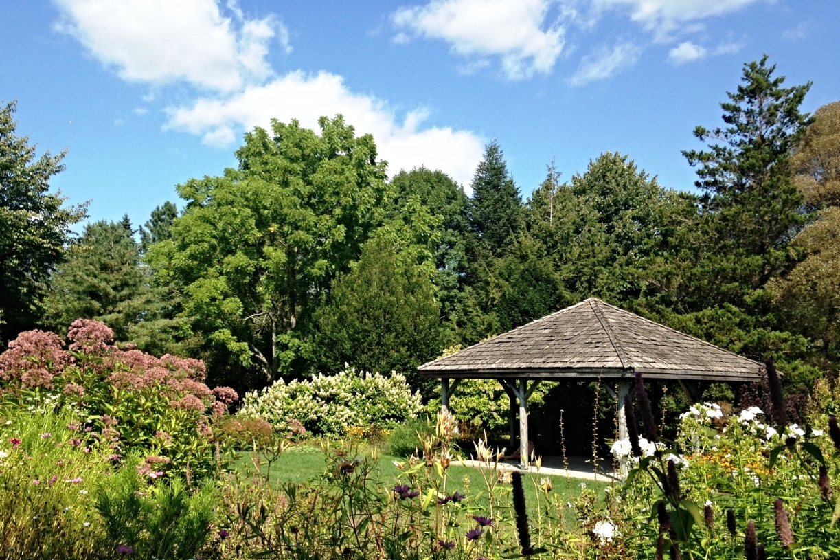 the lovely gardens!