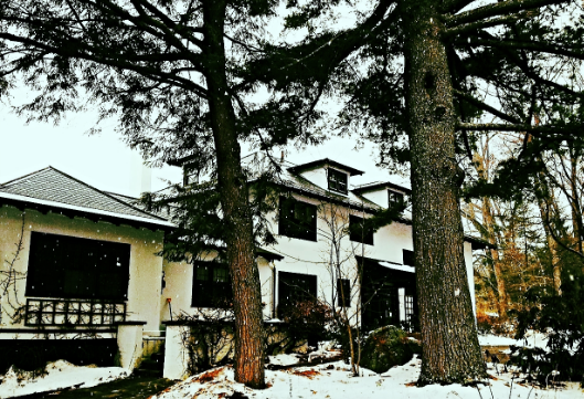 The amazing Green Gem Healing Holistic Oasis