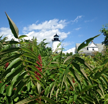the lighthouse from the pathway