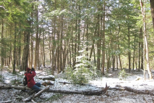 Paul Markson birding on the Hemlock Trail at Hirundo Wildlife Refuge. Courtesy of Hirundo.