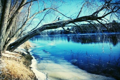 "Unseen Orono"