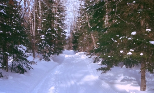 nicely groomed cross country ski trails