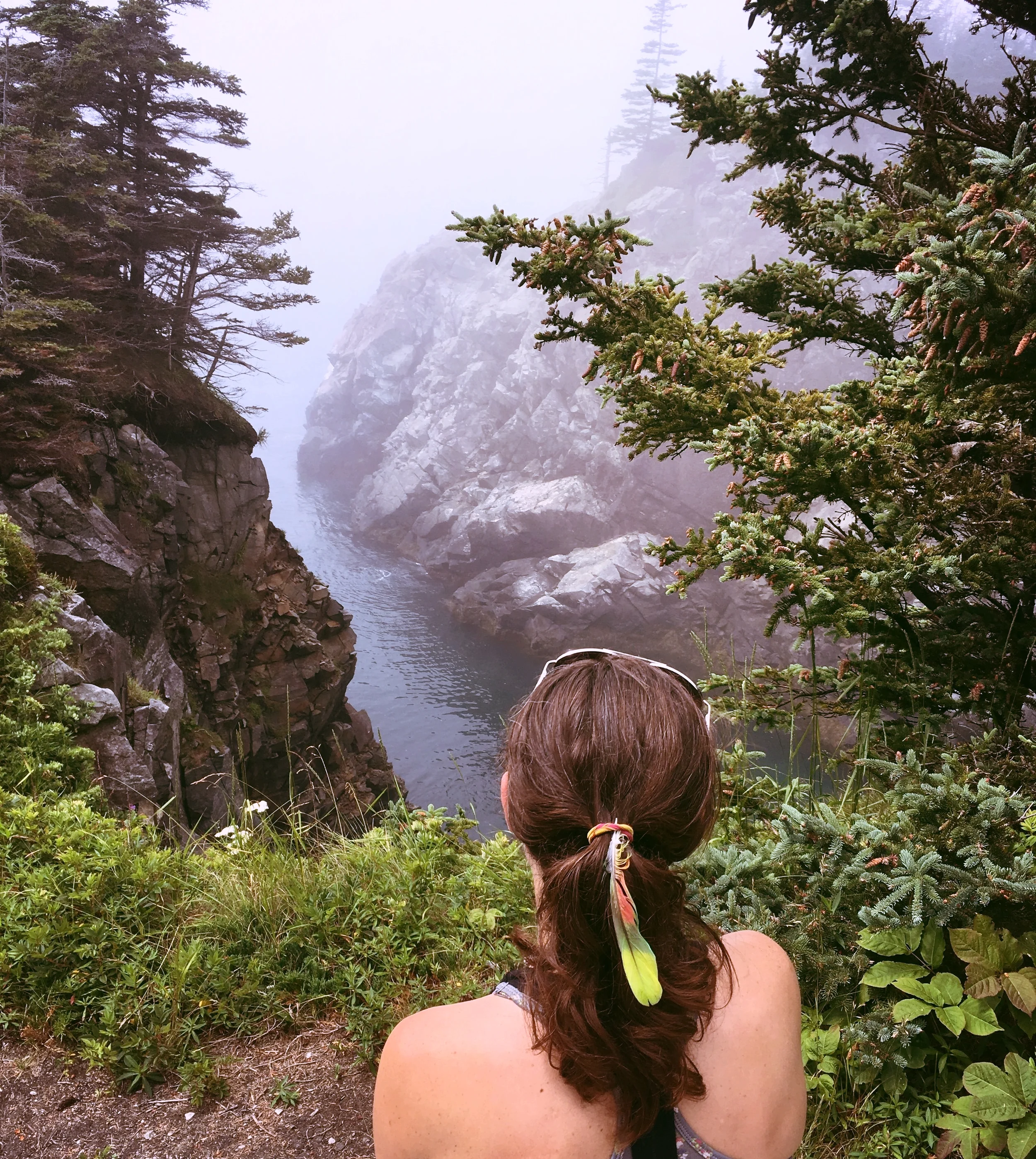 Bold Coast Adventure