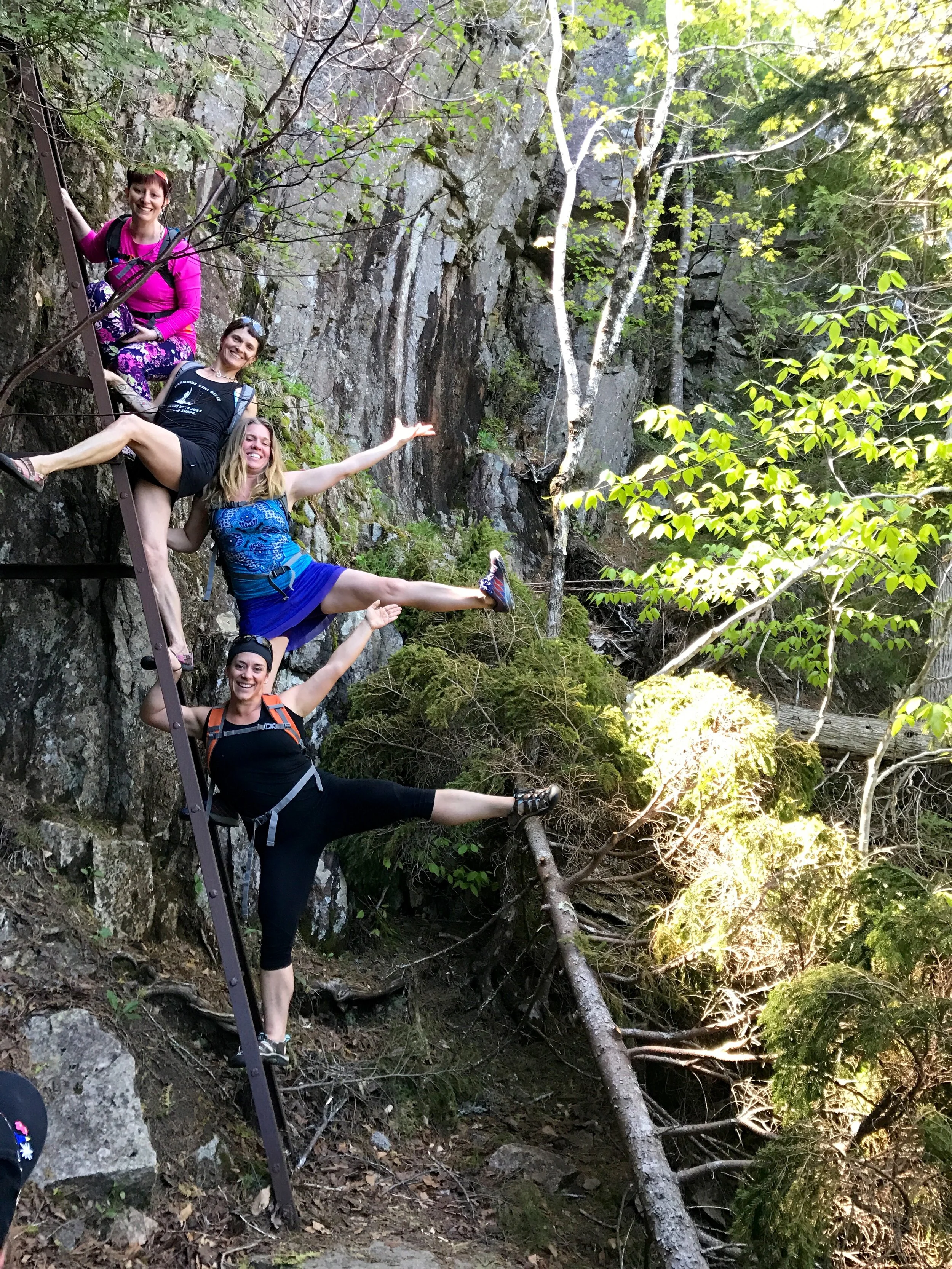 outdoor retreat vs jungle adventure on Yoga Adventures Retreats More Orono Me
