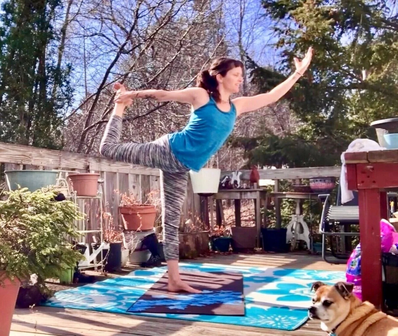 Yoga &amp; Nature Zoom Adventure