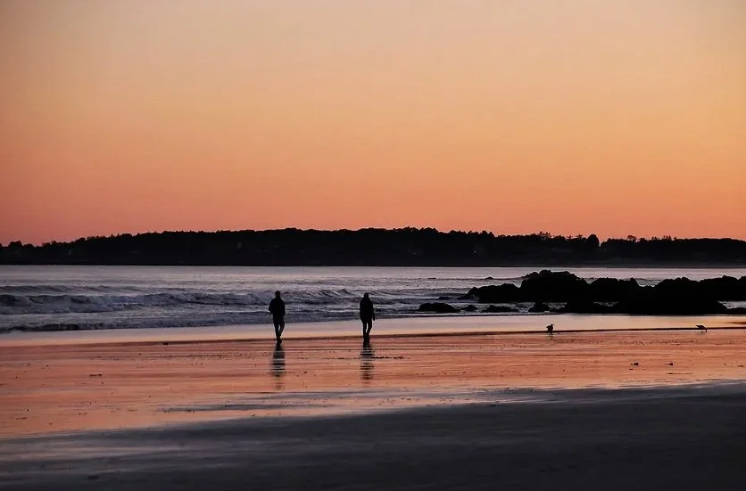 Beachside Surf Adventure *postponed