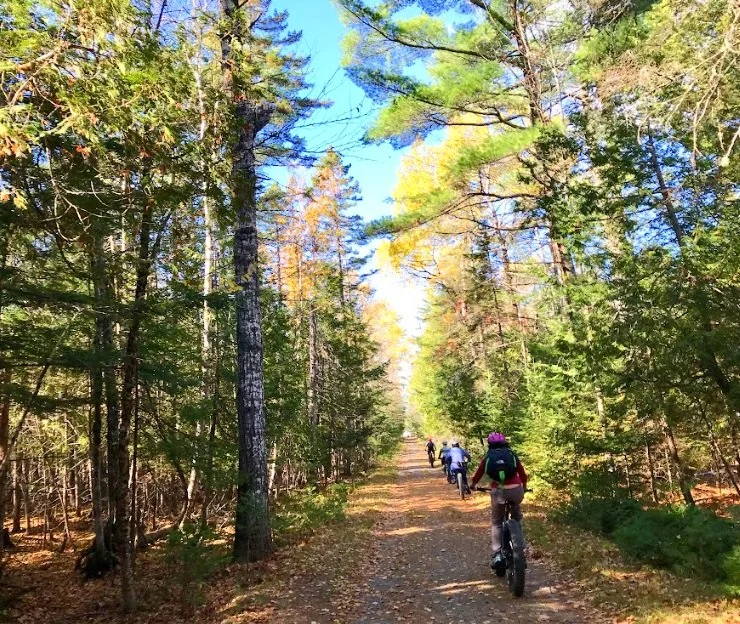 Biking &amp; Disco Dance Fitness Adventure